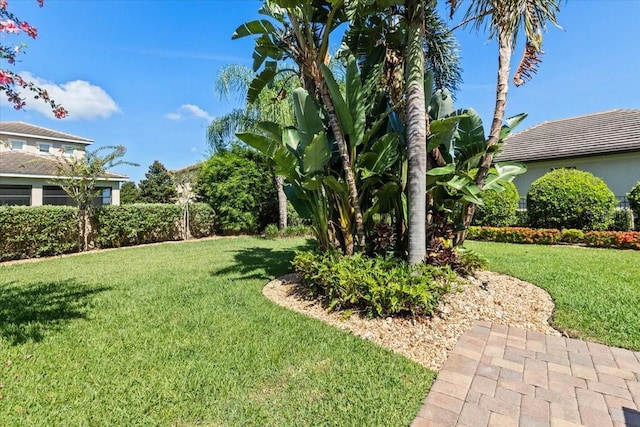 11502 Waterstone Loop Dr, Windermere, FL 34786 - view of grassy yard