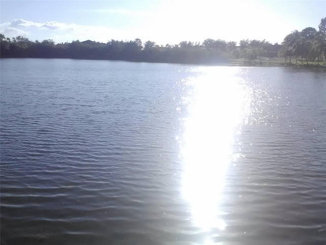 2011 N 61st St, Tampa, FL 33619 - water view