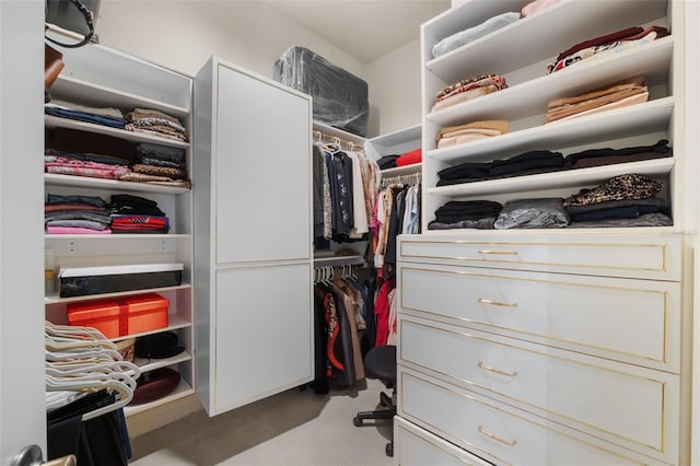spacious closet with carpet flooring