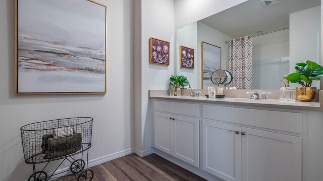 8375 Madrid St, Lakeland, FL 33810 - full bath with a sink, double vanity, wood finished floors, and baseboards
