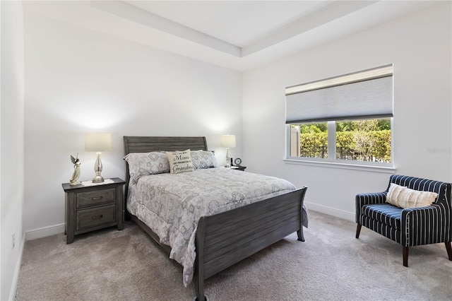 2423 Datura Loop, Saint Cloud, FL 34772 - carpeted bedroom featuring baseboards and a raised ceiling