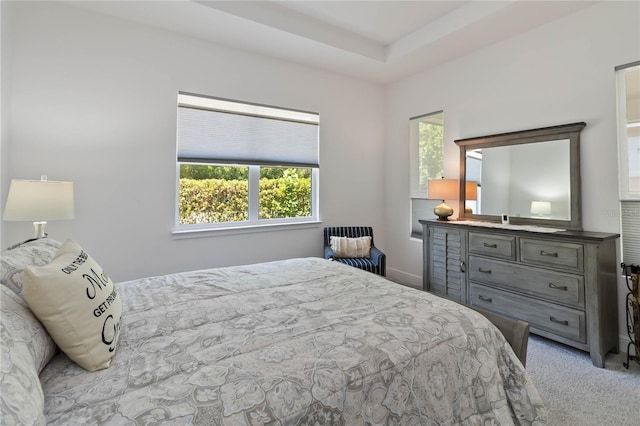 2423 Datura Loop, Saint Cloud, FL 34772 - view of carpeted bedroom