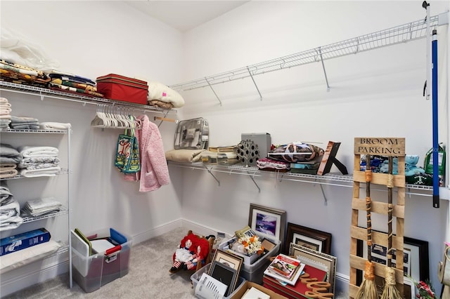 2423 Datura Loop, Saint Cloud, FL 34772 - walk in closet featuring carpet floors