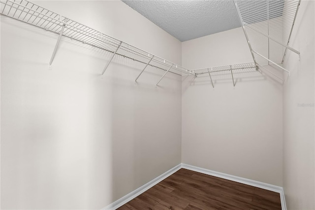15 Sawfish Ln, Kissimmee, FL 34759 - walk in closet with dark wood-style flooring