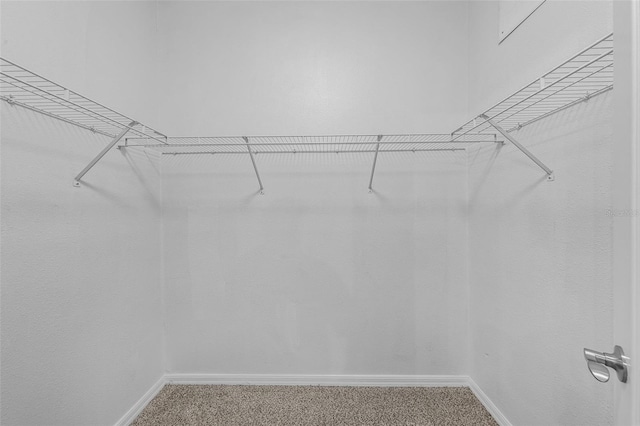 1821 San Jacinto Cir, Sanford, FL 32771 - spacious closet with carpet floors