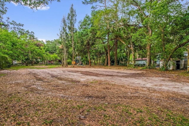 25046 Celestial St, Christmas, FL 32709 - photo 4