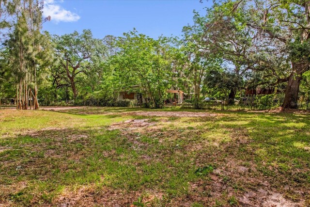 25046 Celestial St, Christmas, FL 32709 - photo 5