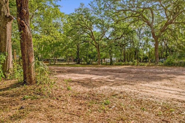 25046 Celestial St, Christmas, FL 32709 - photo 6