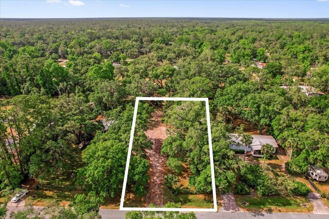 25046 Celestial St, Christmas, FL 32709 - photo 7