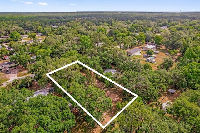 25046 Celestial St, Christmas, FL 32709 - photo 8