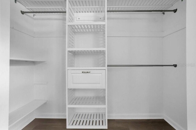 3605 Pershing Ave, Orlando, FL 32812 - spacious closet featuring dark wood-type flooring