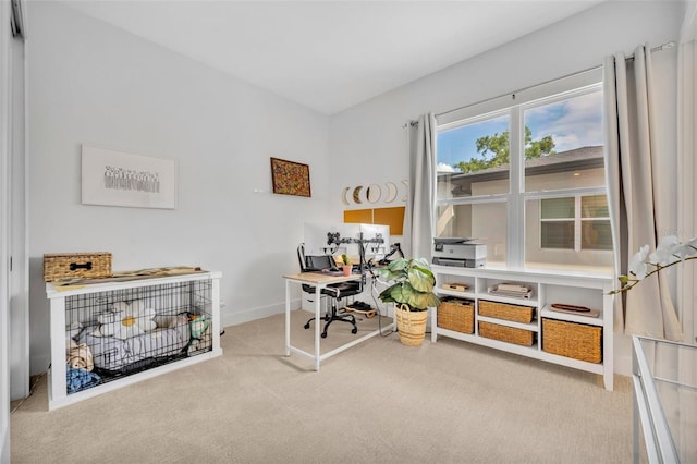 carpeted office space featuring baseboards