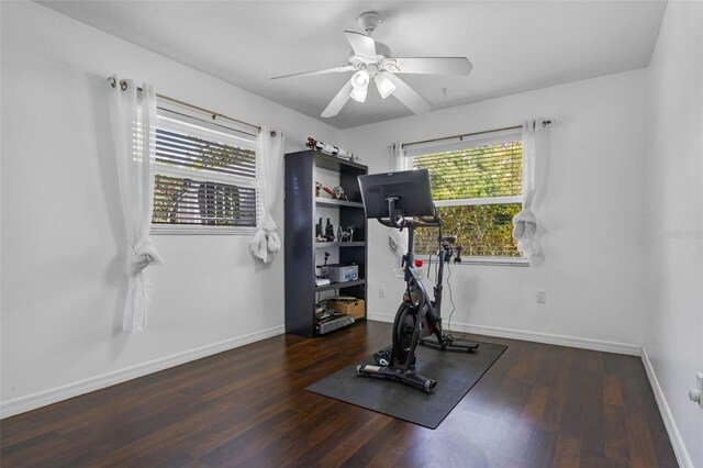 4118 Teriwood Ave, Orlando, FL 32812 - workout room with a ceiling fan, wood finished floors, and a healthy amount of sunlight