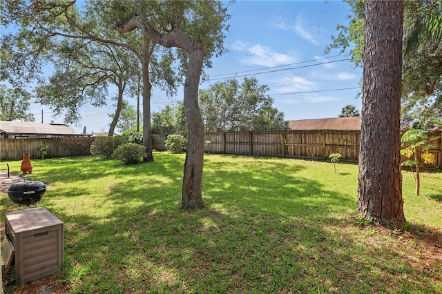 view of yard with a fenced backyard