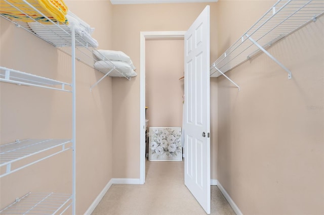 view of walk in closet