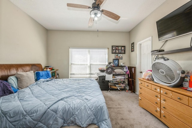 502 Freeman St, Longwood, FL 32750 - photo 15