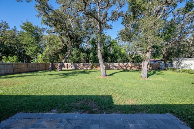 view of yard featuring a fenced backyard