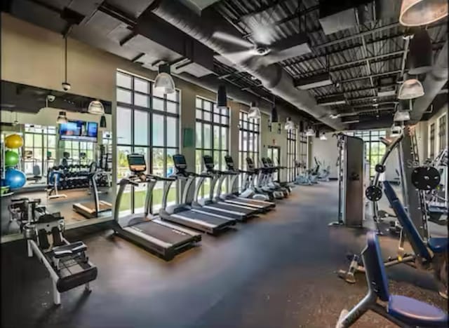 1929 Tropical Palms Cir, Kissimmee, FL 34747 - workout area featuring a healthy amount of sunlight