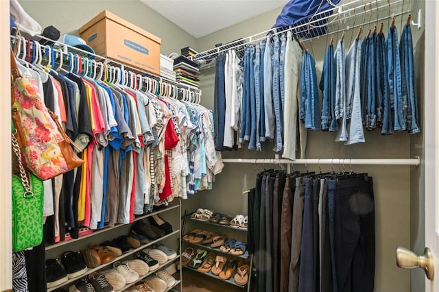 view of walk in closet