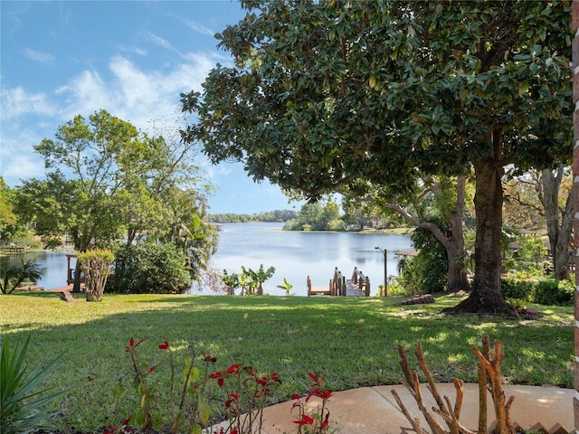 7540 Lake Marsha Dr, Orlando, FL 32819 - photo 40