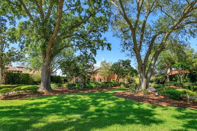 2828 Marquesas Ct, Windermere, FL 34786 - view of grassy yard