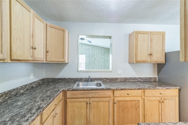 kitchen with a sink, light brown cabinetry, and a textured ceiling