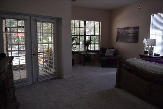 bedroom featuring access to outside, carpet, and multiple windows
