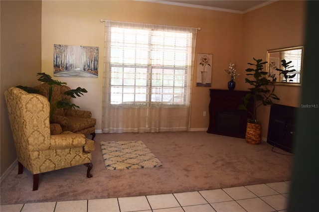 living area with crown molding, baseboards, plenty of natural light, and carpet