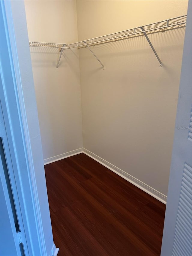 2516 Grassy Point Dr Unit 210, Lake Mary, FL 32746 - spacious closet featuring dark wood-style floors