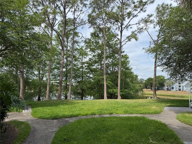 2516 Grassy Point Dr Unit 210, Lake Mary, FL 32746 - view of property's community featuring a lawn