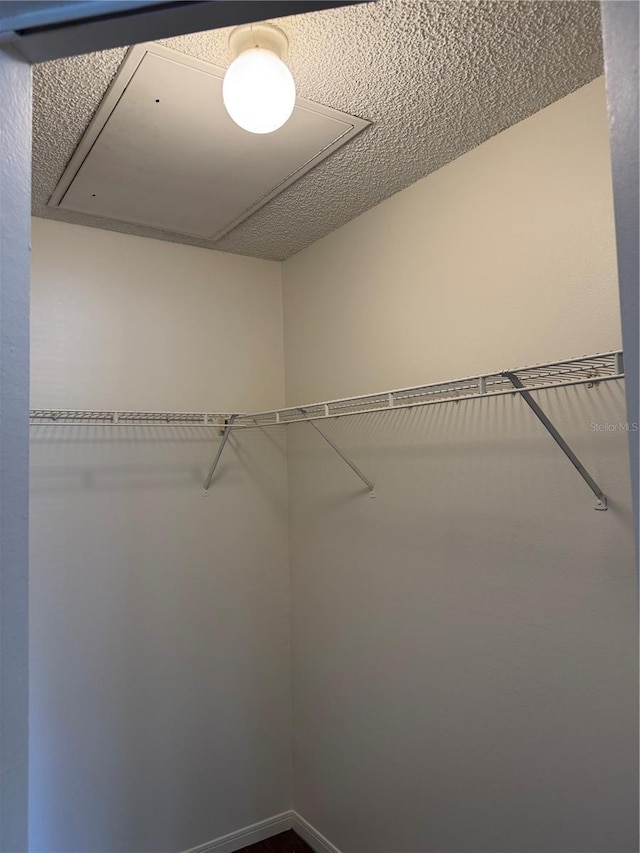 2516 Grassy Point Dr Unit 210, Lake Mary, FL 32746 - spacious closet featuring attic access