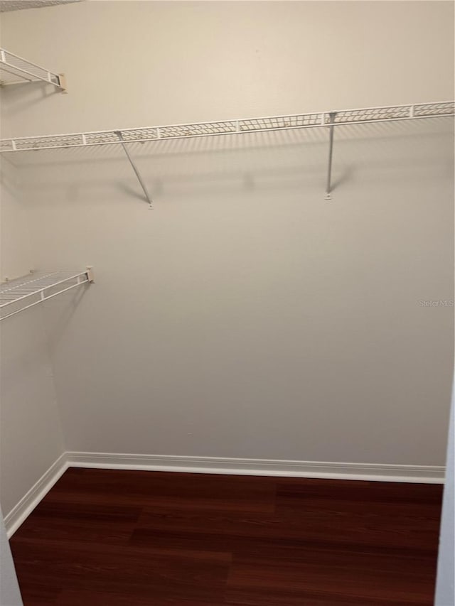 2516 Grassy Point Dr Unit 210, Lake Mary, FL 32746 - walk in closet featuring dark wood-style floors