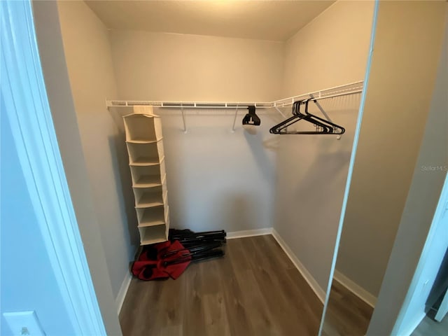 3147 Britannia Blvd Unit A, Kissimmee, FL 34747 - walk in closet featuring dark wood finished floors
