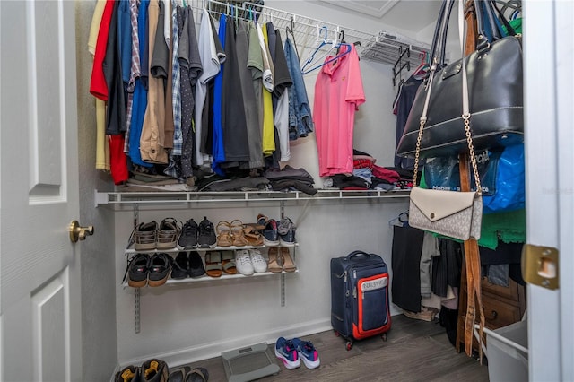 3567 Shallot Dr Unit 103, Orlando, FL 32835 - walk in closet featuring wood finished floors