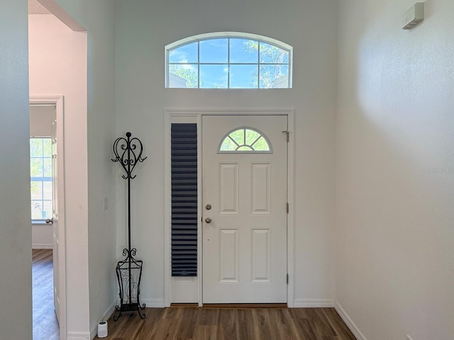 entryway with baseboards, a high ceiling, wood finished floors, and a healthy amount of sunlight