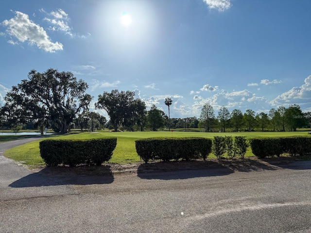 view of home's community with a lawn