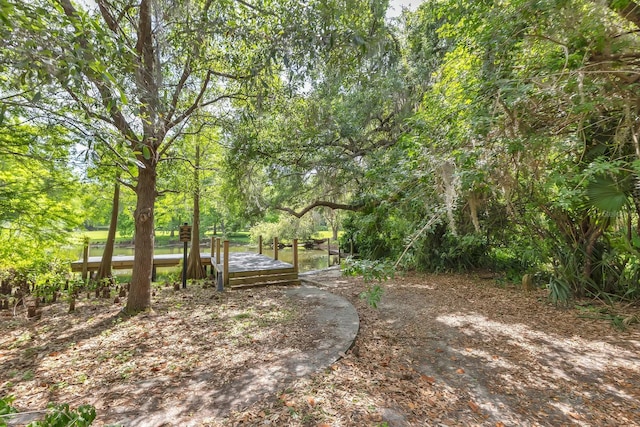 2525 Venetian Way, Winter Park, FL 32789 - view of yard