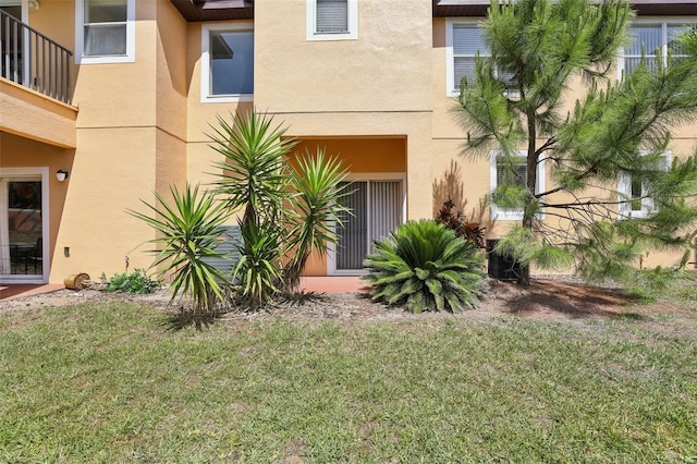 entrance to property featuring stucco siding and a yard