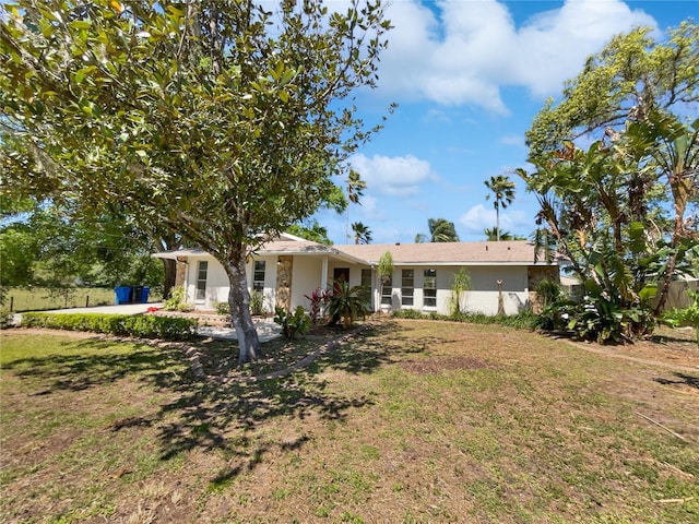 back of house featuring stucco siding and a yard