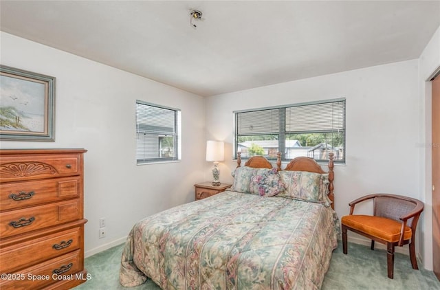 bedroom with carpet floors, baseboards, and multiple windows
