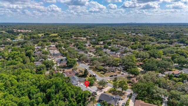 bird's eye view
