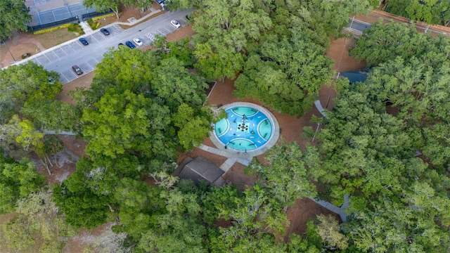 bird's eye view