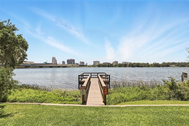 320 Lakeview St Unit 222, Orlando, FL 32804 - dock featuring a water view and a yard