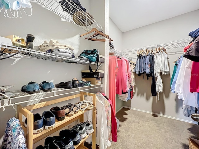 walk in closet with carpet