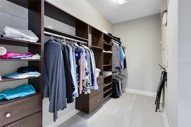 8263 Bellow St, Orlando, FL 32827 - spacious closet featuring carpet