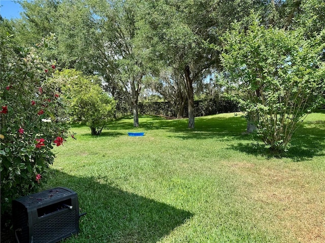 24125 Peekskill St, Leesburg, FL 34748 - photo 22