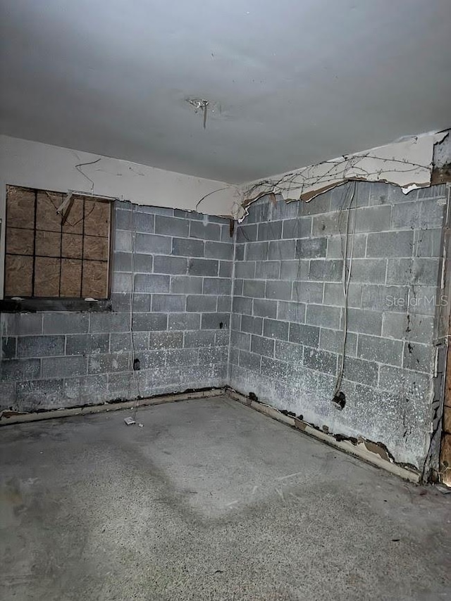 unfinished below grade area with concrete block wall