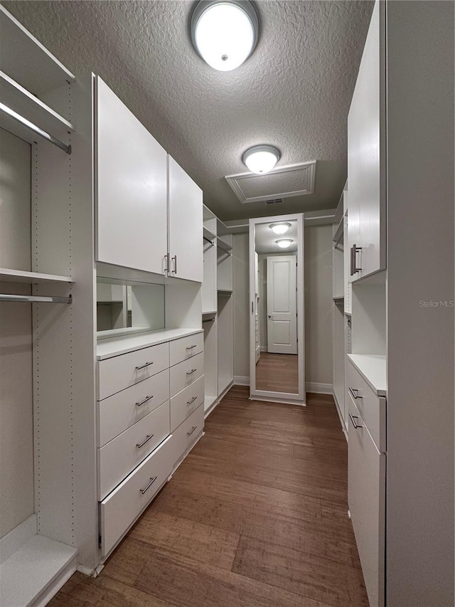 spacious closet featuring dark wood-style floors