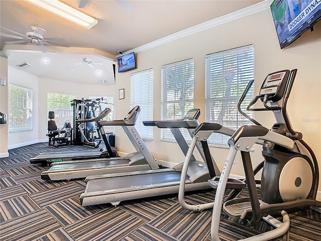 gym with ceiling fan, visible vents, crown molding, carpet floors, and baseboards