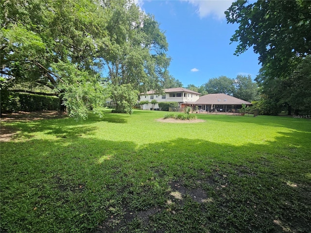 view of green lawn